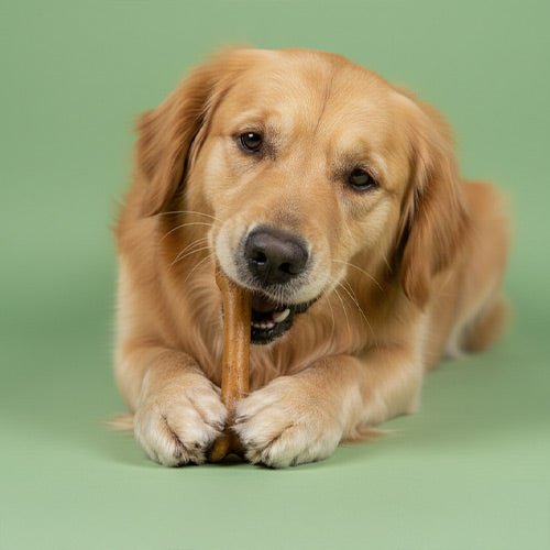 BellyBones